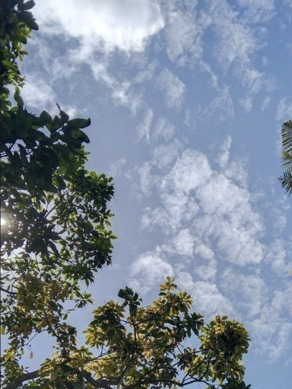 Nature Photography